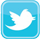 twitter-icon